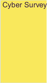 Cyber Survey
